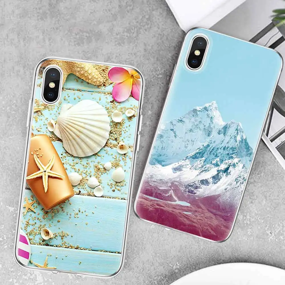 海星贝壳、红色冰山