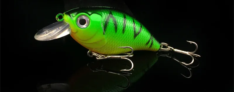 4056017573_1527700101