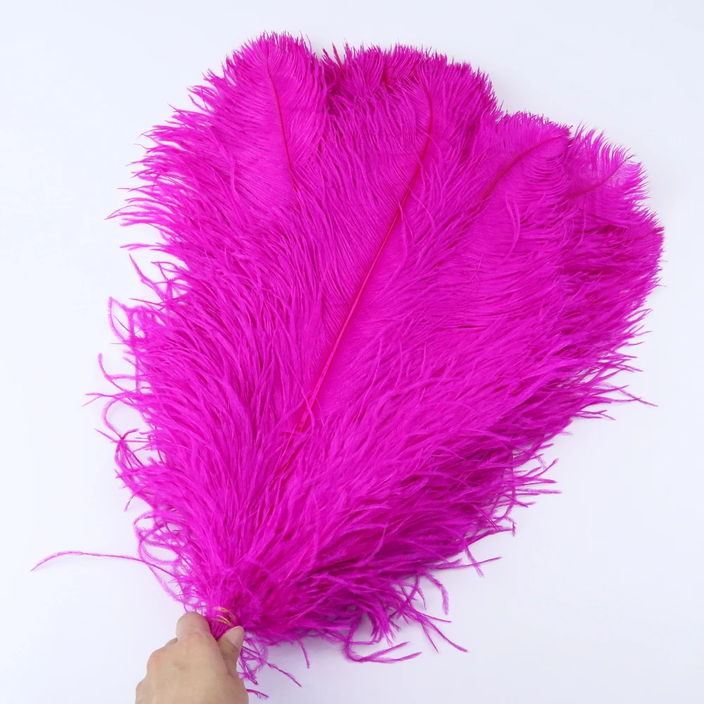 TS0145004 45-50cm ostrich feathers 4