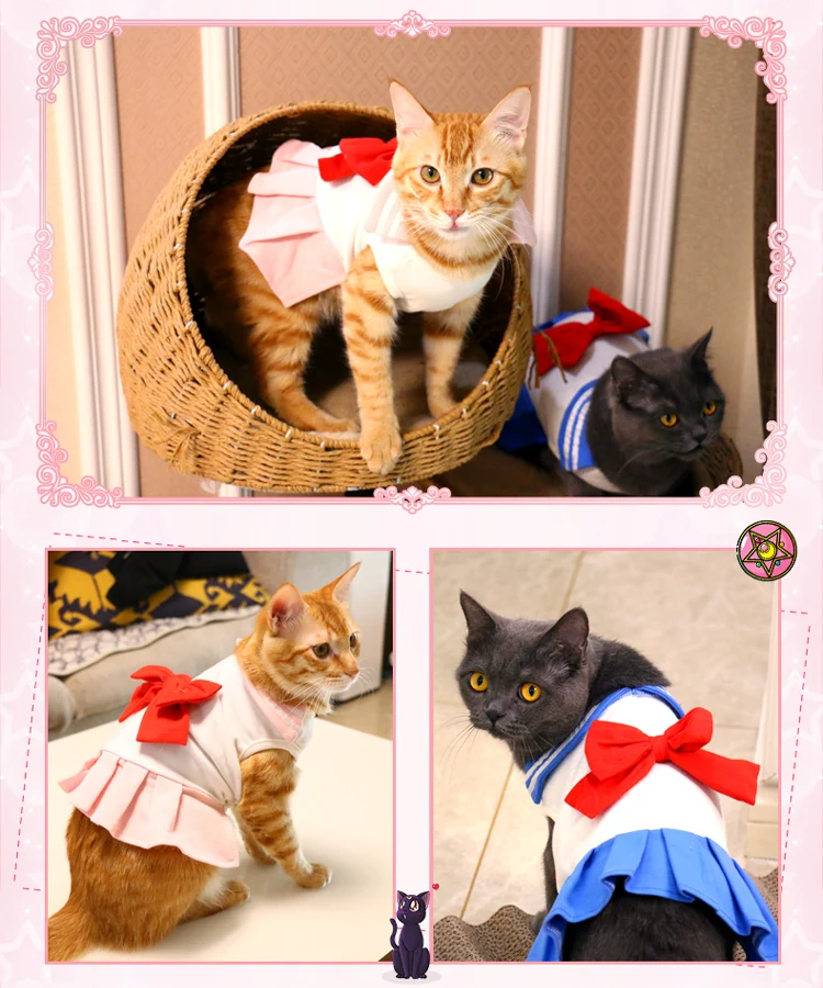 O1CN01uNYczr1lJzDmvrtE5_!!2200738604799