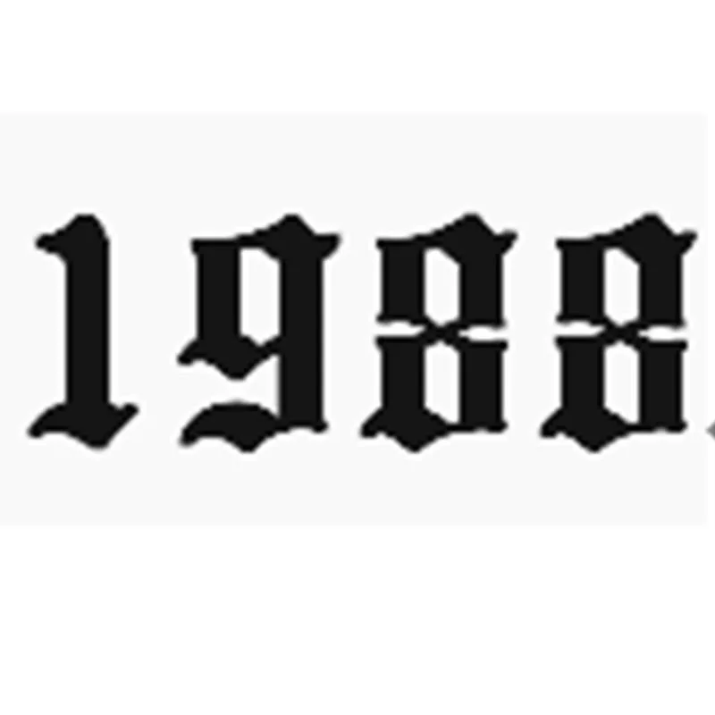 1988 Нержавеющая сталь год номер на заказ кольцо для женщин золотые, серебряные кольца женские розы кольцо Anillos Mujer номер обручальное кольцо ювелирные изделия - Цвет основного камня: 1988