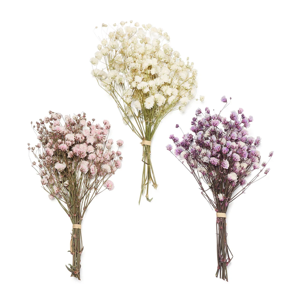 DIY Натуральные Сушеные букеты Mini Babysbreath настоящие цветы растения стебли из
