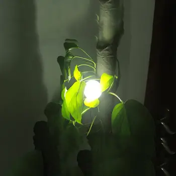 

Portable LED Camping Mini Camping Lights Camping Tent Light By Battery Outdoor Portable Multi-purpose Hanging Camping Light