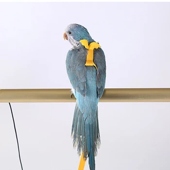 

Anti-bite Flying Training Rope Adjustable Parrots Bird Harness Leash Training Traction Outdoor Flying Harness Leash