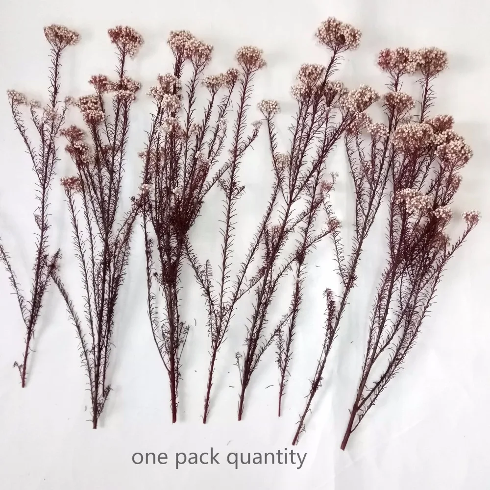 HTB1QjD2AGSWBuNjSsrbq6y0mVXag