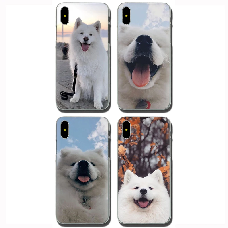 Милая собака самоед Жесткий Чехол Для Телефона iPhone 5 5S 6 6s 7 8 plus X XR XS 11 Pro Max