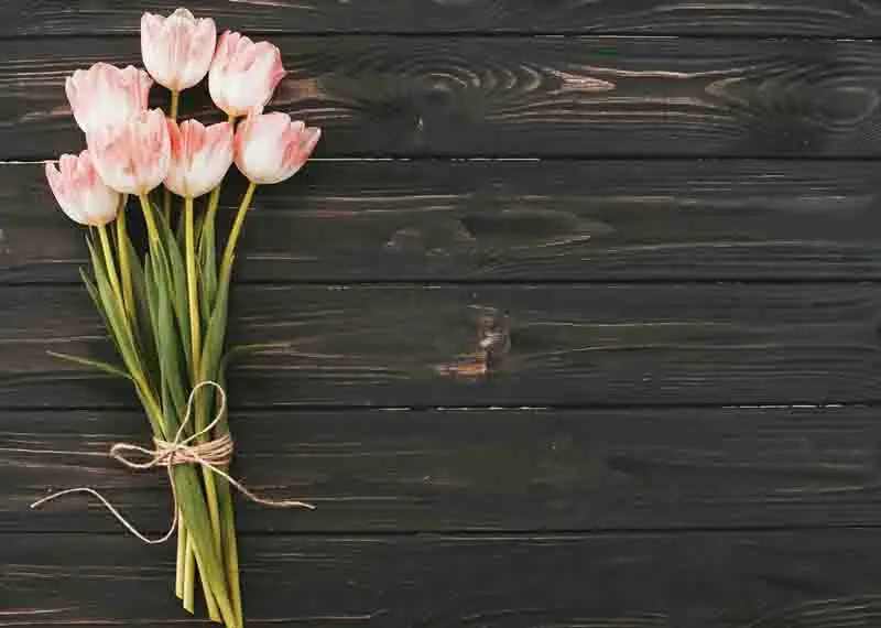 

SHUOZHIKE Vinyl Custom Photography Backdrops Prop Flower Wood Planks Christmas Theme Photo Studio Background 191025-335
