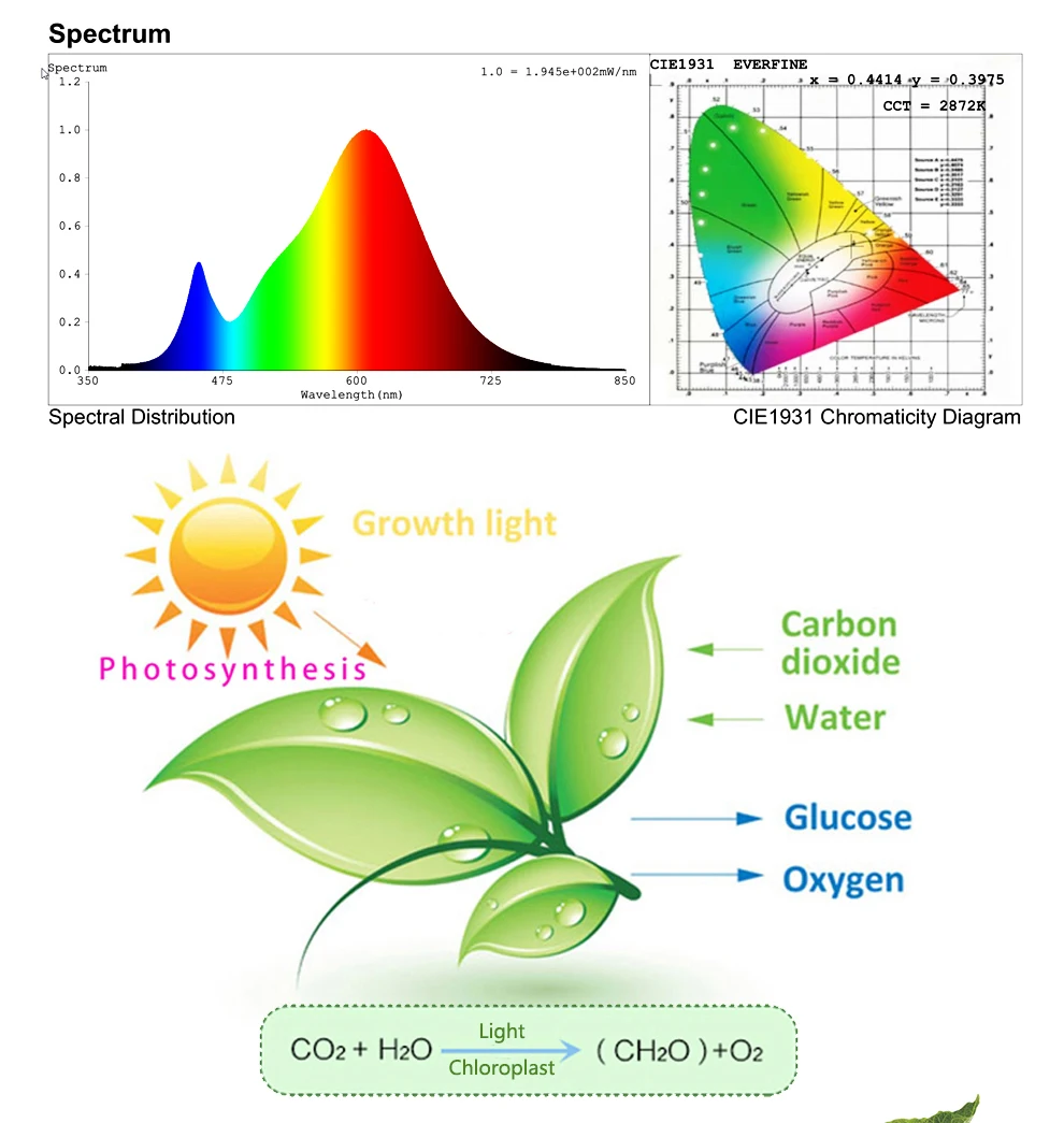 Full Spectrum LED Grow Light With Stand AC220V Phyto Lamp With On/Off Switch For Greenhouse Hydroponic Plant Growth Lighting