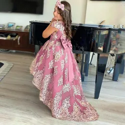 Pink A-Line Flower Girl Dress for Wedding Applique Lace Puffy Skirt Girls Pageant Gown Performance Costumes Birthday Gown