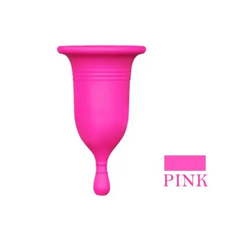 2PC New Feminine hygiene Menstrual cup for Women Menstruation Copo Medical silicone Cup Reusable lady cup than pads - Цвет: 2 PC PURPLE