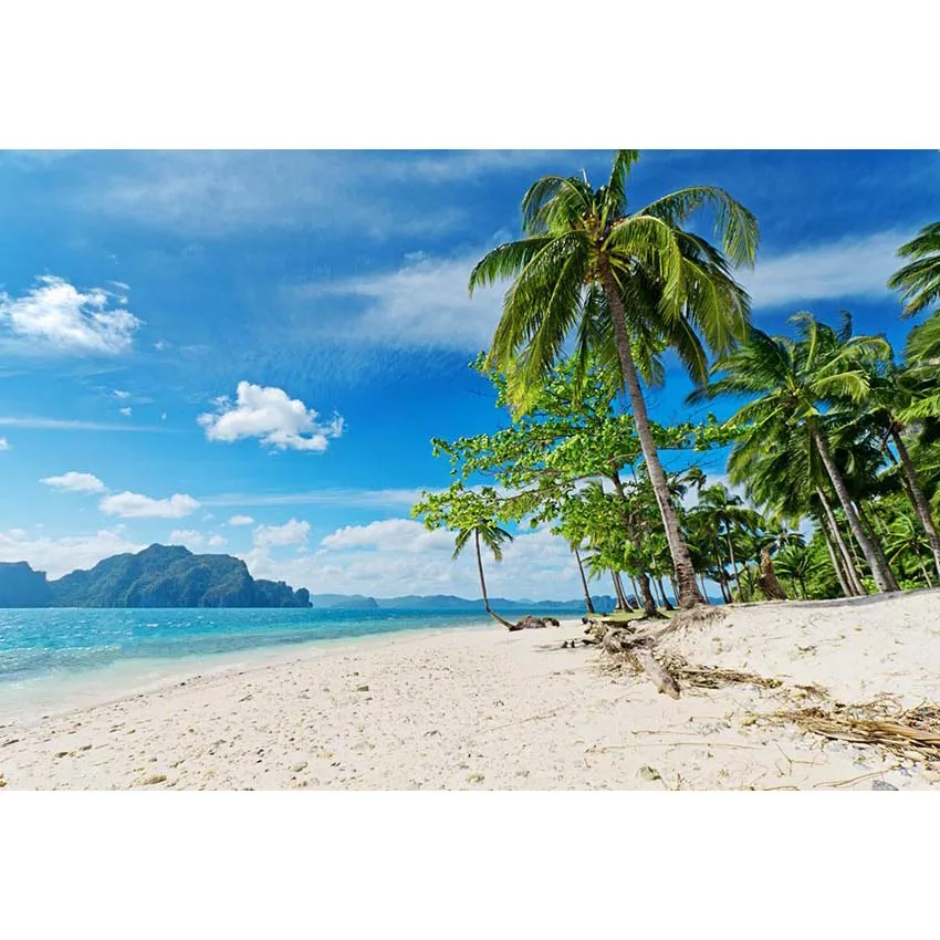 Tropical Beach and Sky Photography Backdrop
