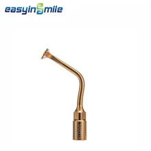 

1Pc Dental Bone Surgery Sinus Instrument USN1L Tips Implant Fit NSK EASYINSMILE