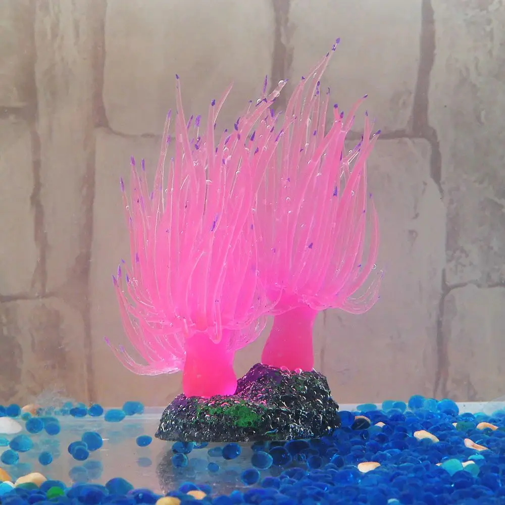 KI1512727439_P1280906