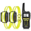 Yellow 2 Collars