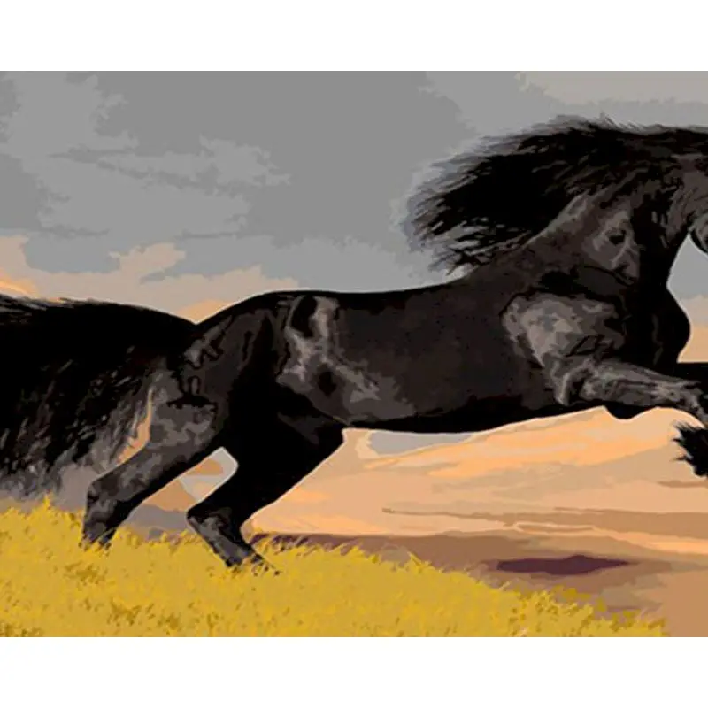 

GATYZTORY Frame Horse Animal Paint By Numbers For Adults Children DIY HandPainted Oil Painting Home Decoration Drawing On Canvas