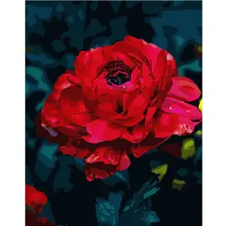 Большой красный Цветущий цветок DIY цифровая картина маслом цифры современные настенные художественные масляные краски в качестве подарка