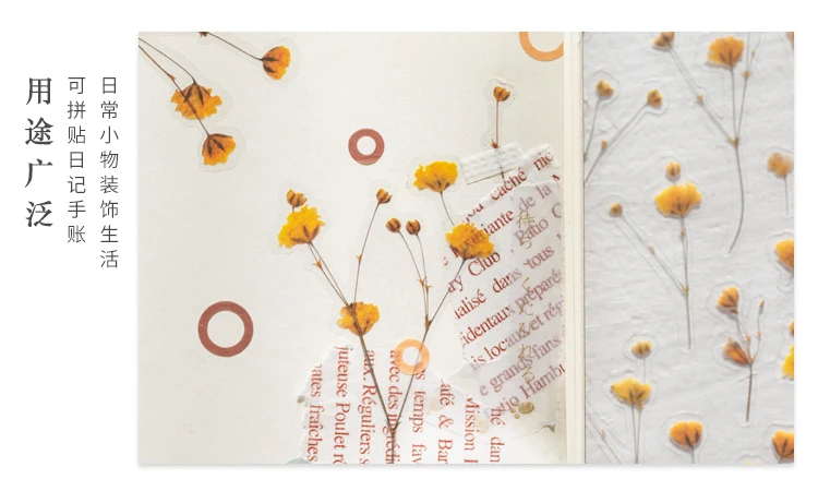 Yoofun Daisy Clover Babysbreath Fern Transparan PET Stiker Bunga Daun Tumbuhan Pelekat untuk Scrapbooking Bullet Journal Deco Yoofun Daisy Clover Babysbreath Fern Transparan PET Stiker Bunga Daun Tumbuhan Pelekat untuk Scrapbooking Bullet Journal Deco