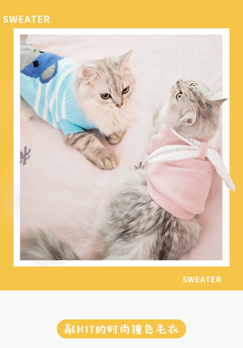 Одежда для кошек, осеннее платье, одежда с котенком, котятами, маленьким молочным котом, ничего, мех, кошка, предотвращение осени, шерсть, свитер, зимняя одежда