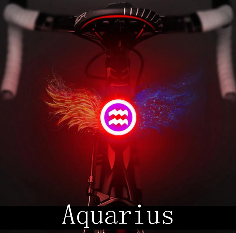 12 Constellation USB Charging Bicycle Lights Plastic Aluminum Alloy Waterproof Bike Taillight Bicycle Accessories - Цвет: Aquarius