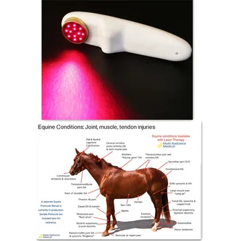

Veterinary Dog Horse Cat Animals Laser Pain Relief Therapy LLLT 650nm and 808nm infrared Red Light Cold Laser