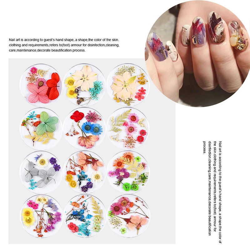 3D наклейки для ногтей RBAN NAIL Art сушеные цветы смешанные консервированные листья