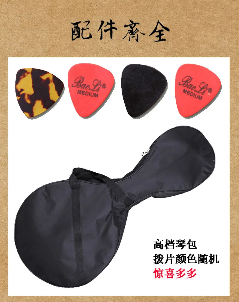 Redwood Daruan professional string instrument with bag