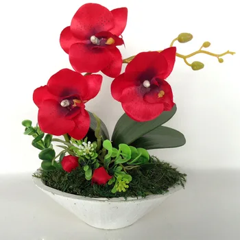 

Model Eternal Life Silk Flower Green Vegetation Butterfly Orchid Bonsai Flower Set Indoor Decoration Potted Plant Decoration