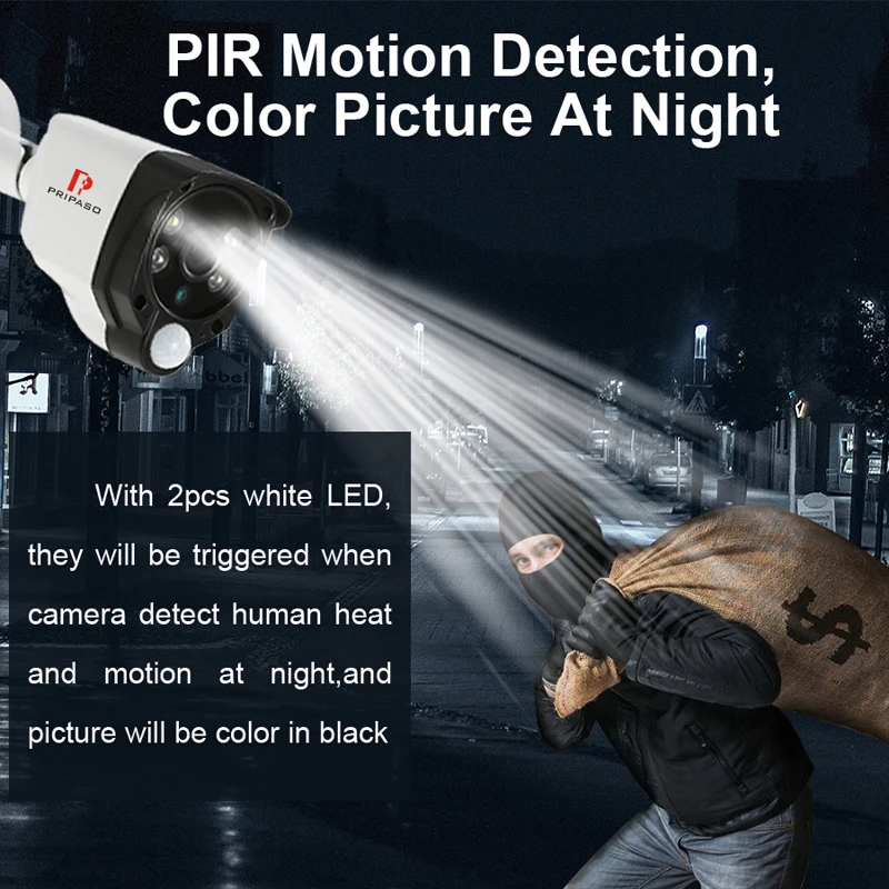 Pripaso HD 720P 1080P PIR сигнализация камера безопасности Открытый ИК водонепроницаемый CCTV детектор движения AHD CVI TVI CVBS камера наблюдения