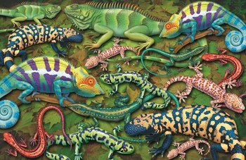 

JOHNSON Colorful Chameleon Lizard Animal photo studio background High quality Computer print party backdrop