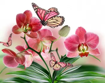 

flowers diamond painting butterfly orchids embroidery mosaic diamond dotz 5d rhinestone picture puzzle toy drawing wall decor