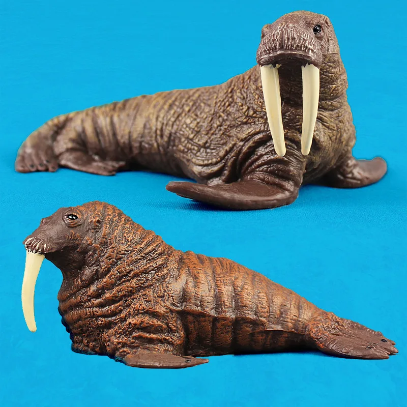 

Model Male And Female Walrus Marine Biological Model Toy Solid Plastic Children's Cognitive