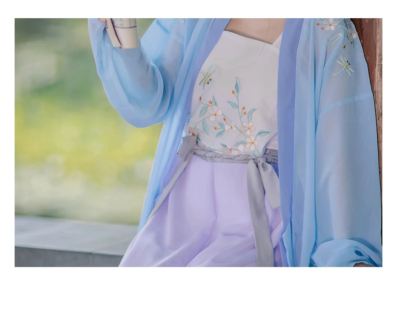 Hanfu, Женский дворцовый Древний китайский костюм, вышивка, фея, девушка, Цин, Тан, костюм, народная танцевальная одежда, слинг+ штаны+ куртка, DL4974