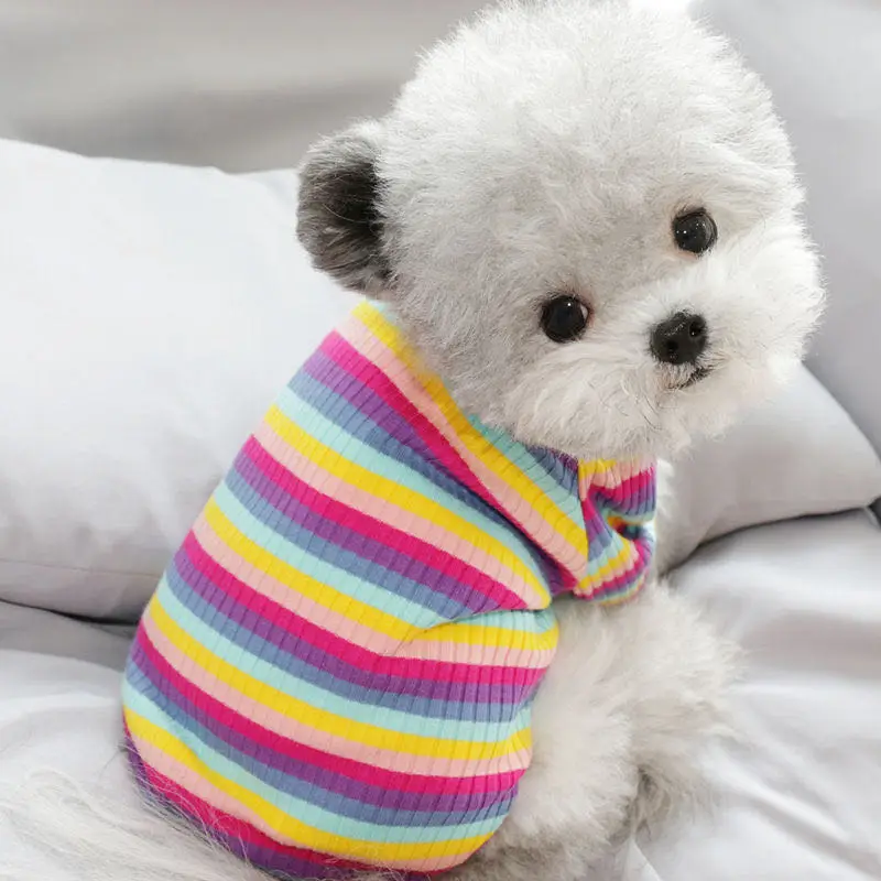 

Puppy Costume Rainbow Striped Dog Clothes Ruffle Collar Female Dogs Shirts Spring Autumn Small Pet Chihuahua Knit Sweater