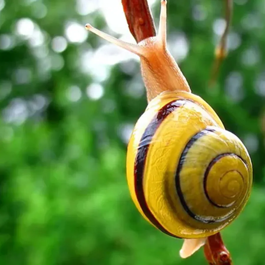 微信截图_20200216160043_副本