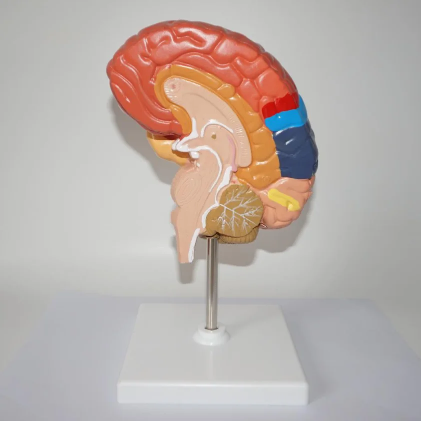 QQ图片20200414111430