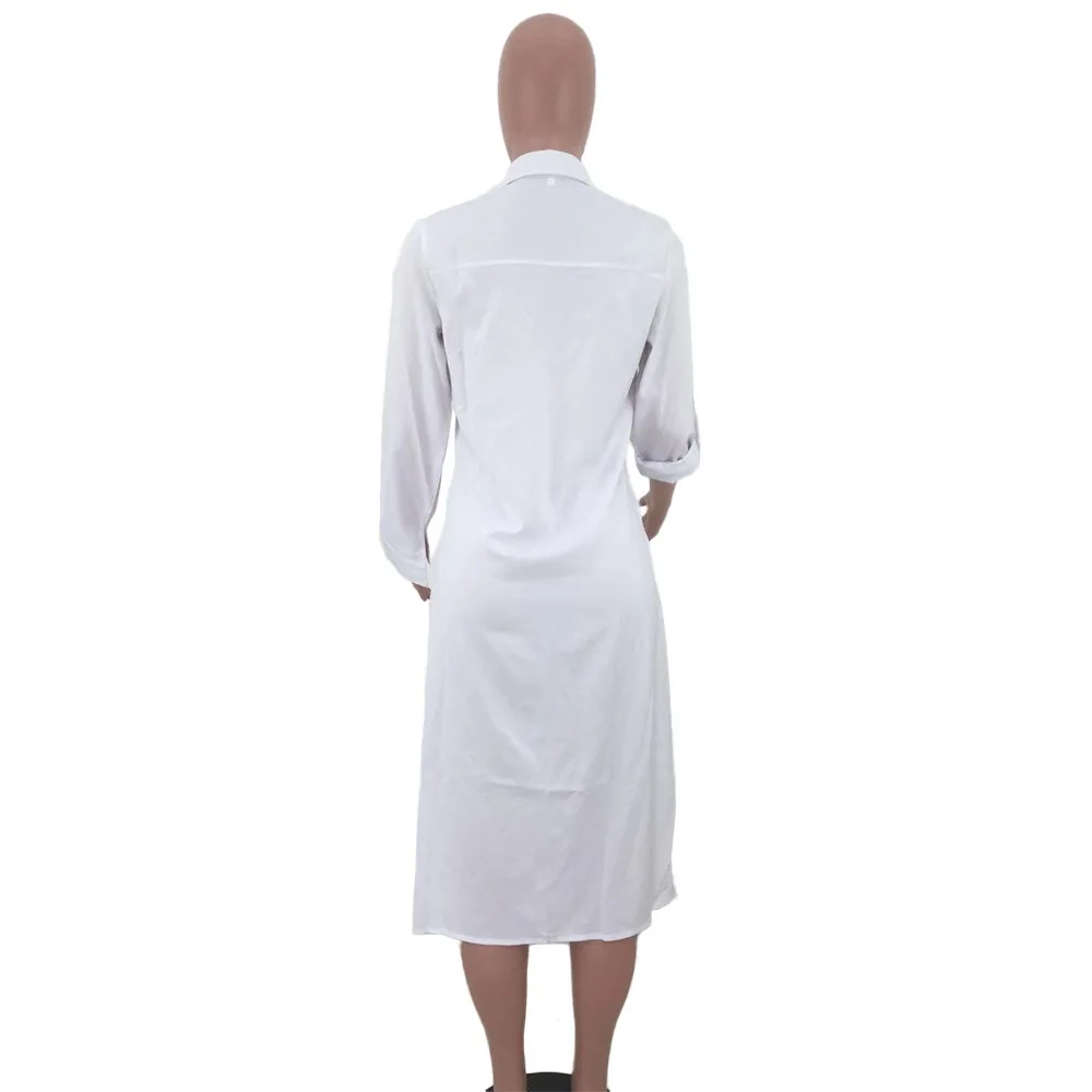 新建文件夹IMG_8295