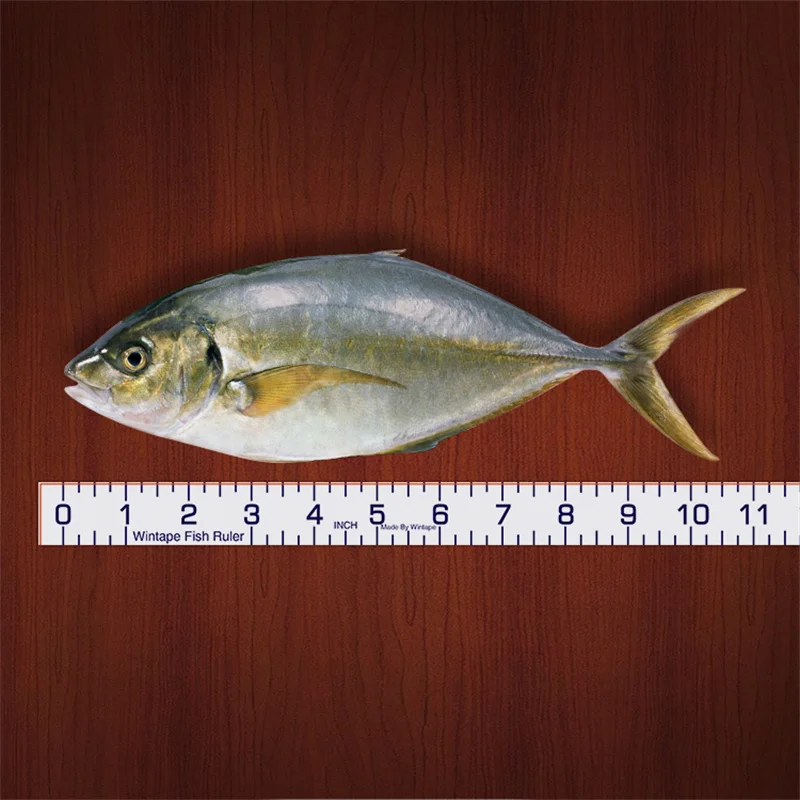 WINTAPE Fish Height Tape Measure Sticker Outdoor Measurement Tools For Fishing  Measuring Ruler Stickers Fish Measuring 40Inch