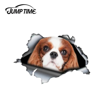 

Jump Time 13cm x 8.8cm Red Cavalier King Charles car decal 3D Pet Graphic Vinyl Decal Car Window Laptop Bumper Car Stickers