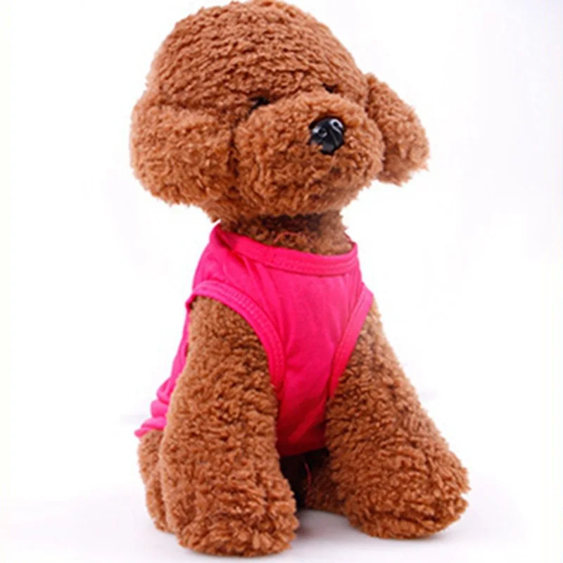 5 - 9078346562_1204768338