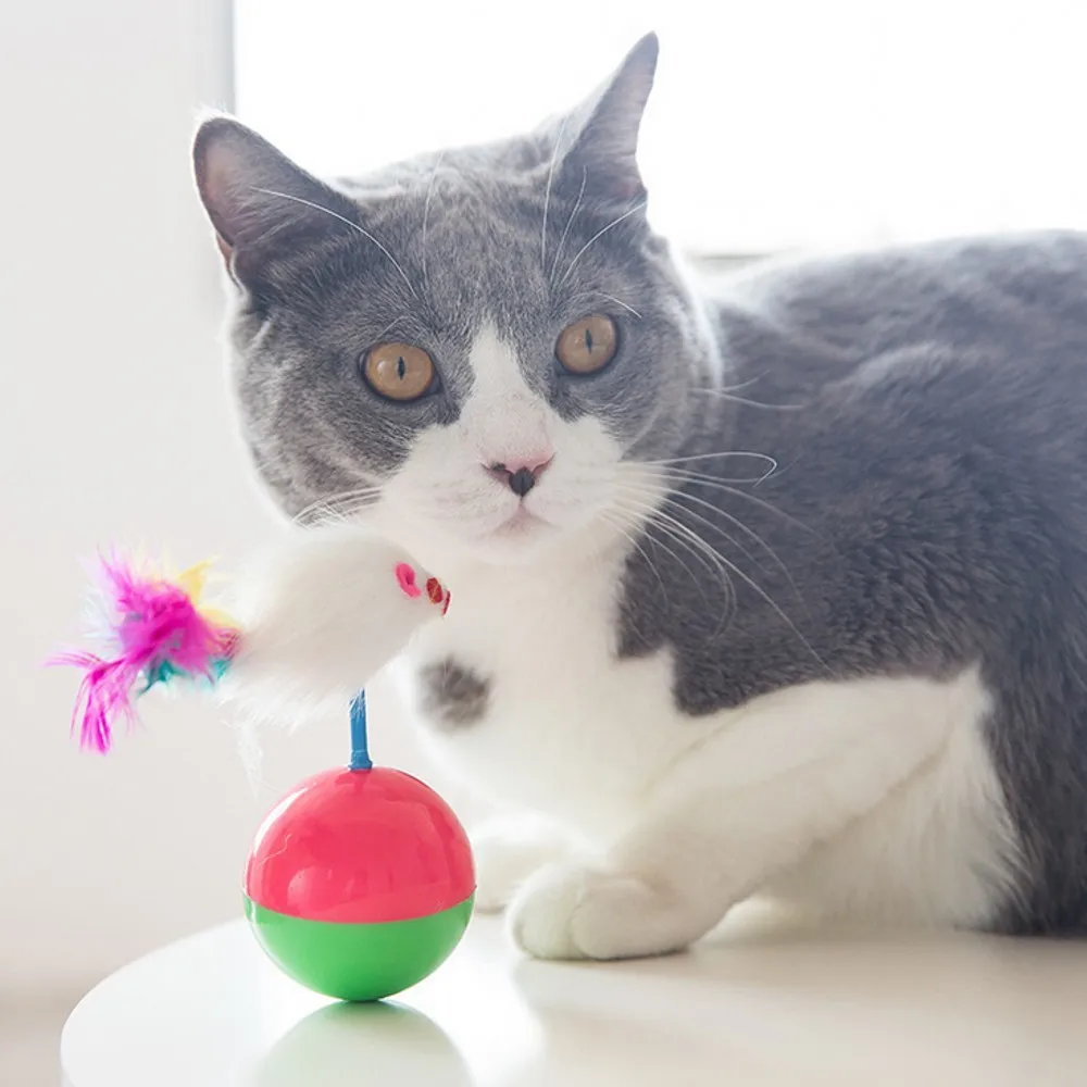 

2019 New Pet Cat Toy Interesting Feather Mouse Tumbler Funny Cat Balls Plastic Play Toys For Kitten Pet Training Exercise Toy