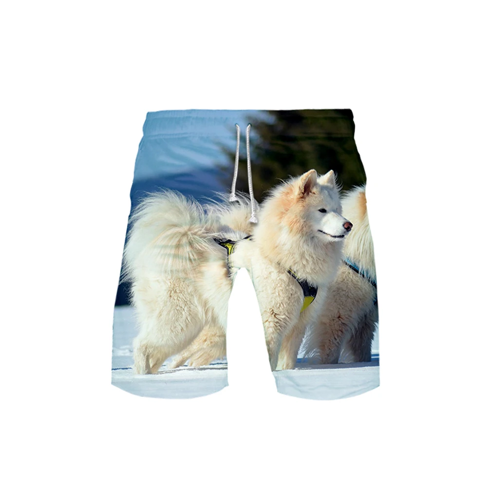 Samoyed 3D шорты летние быстросохнущие пляжные мужские шорты хип хоп бермуды плавающие шорты мужские