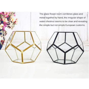 

Hot Sale Black Glass Pentagon Geometric Terrarium Container Window Sill Decor Flower Pot Balcony Planter Diy Display Box
