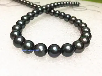 شراءمستدير AAAAA 18