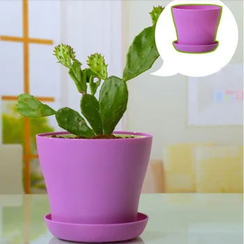 

8 Pcs 4 Inch Small Plant Pots Colorful Plastic Flower Pots Indoor Plant Pot Garden Pots Planters Hanging Baskets