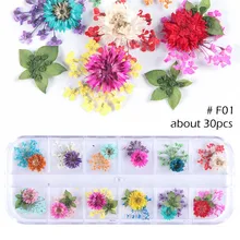  12 Color Nail Art Decoration False Flowers Set Gel Polish Tip 3D DIY Floral Slices Decal Pro Manicure Pedicure Newest Kit SAFL/F 