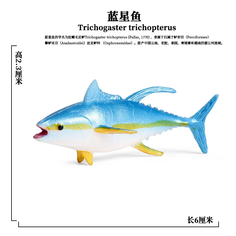 Sea Marine Animals Action Figures - Ocean Adventure Educational Toy Set