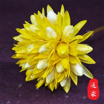 

2pcs Magnolia ball home decoration thousand tongue Magnolia manual combination factory shell dry flower bouquet mix wall decor