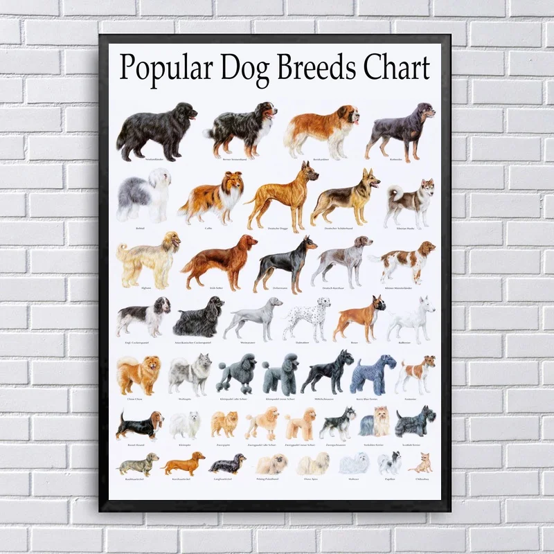 Canvas-Wall-Art-Popular-Dog-Breeds-Chart-Home-Decor-Animal-Printed-Poster-Nordic-Painting-Modern-Modular
