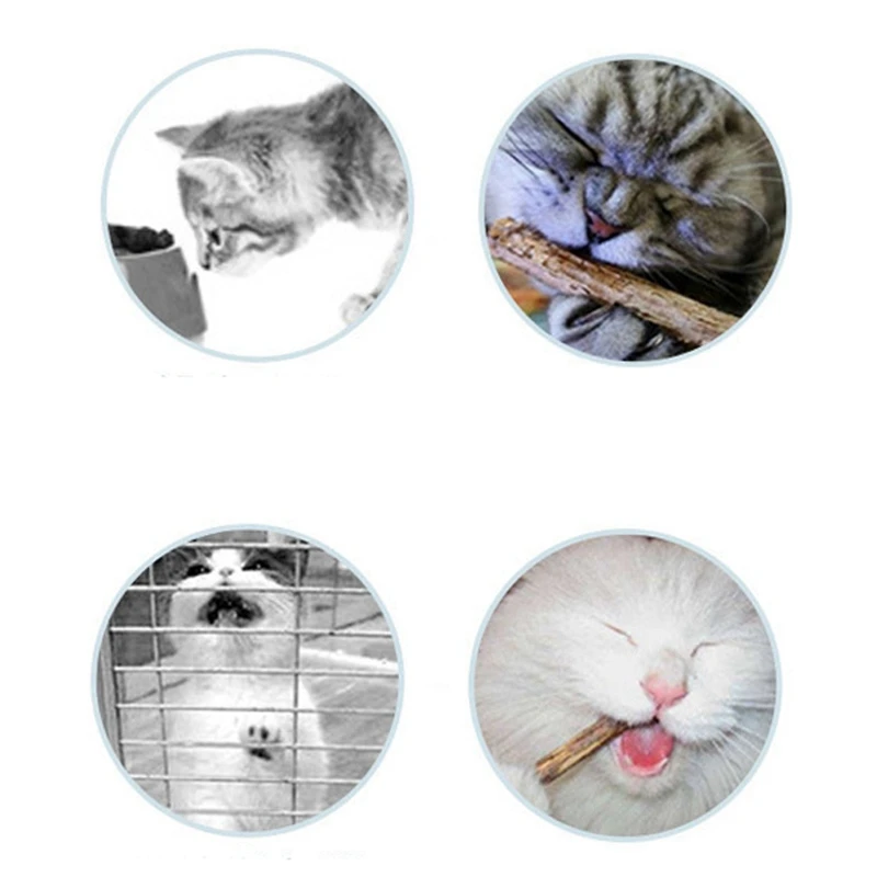 Игрушки для кошек, Интерактивная игрушка для кошек с шариком кошачьей кошки, Органическая натуральная растительная кошачья палочка, игрушки для чистки зубов домашних животных