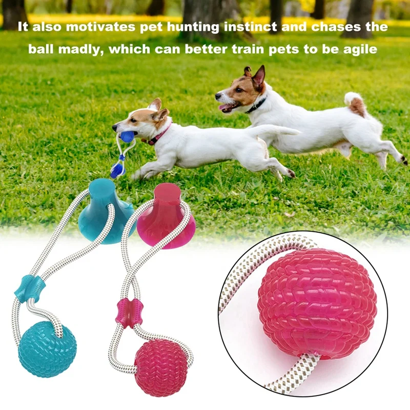 Многофункциональный Pet молярный Укус игрушка для домашней собаки резиновая жвачка игрушка прочная чистка зубов обучающая игрушка для прорезывания зубов для маленькой средней собаки